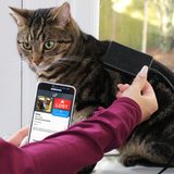 Lost cat being scanned with a PetScanner microchip reader 
